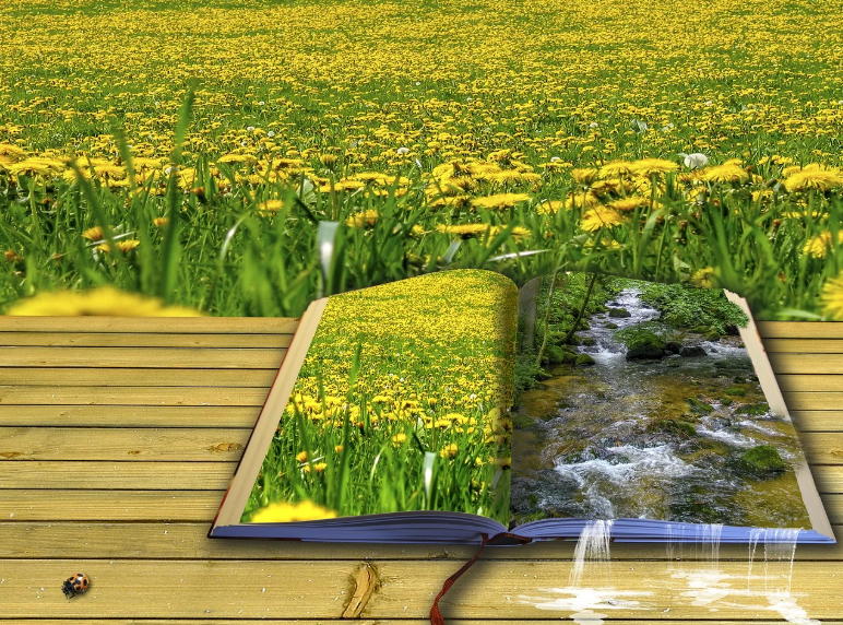 El libro de las dos orillas